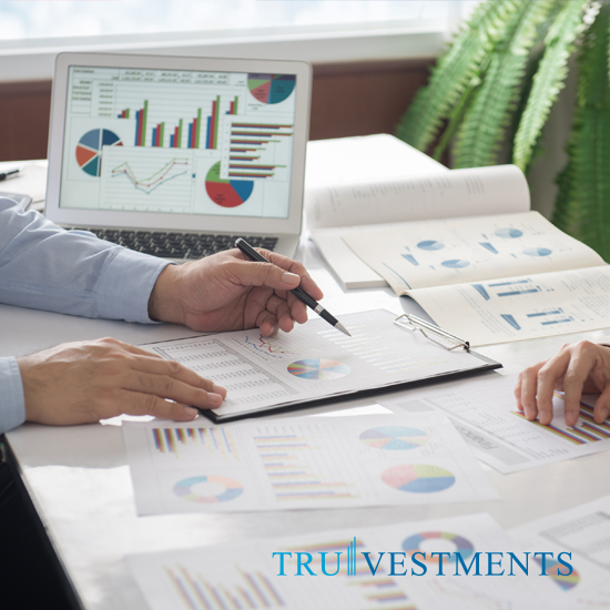 Truvestments - Wealth Management Formula - Progress Meetings